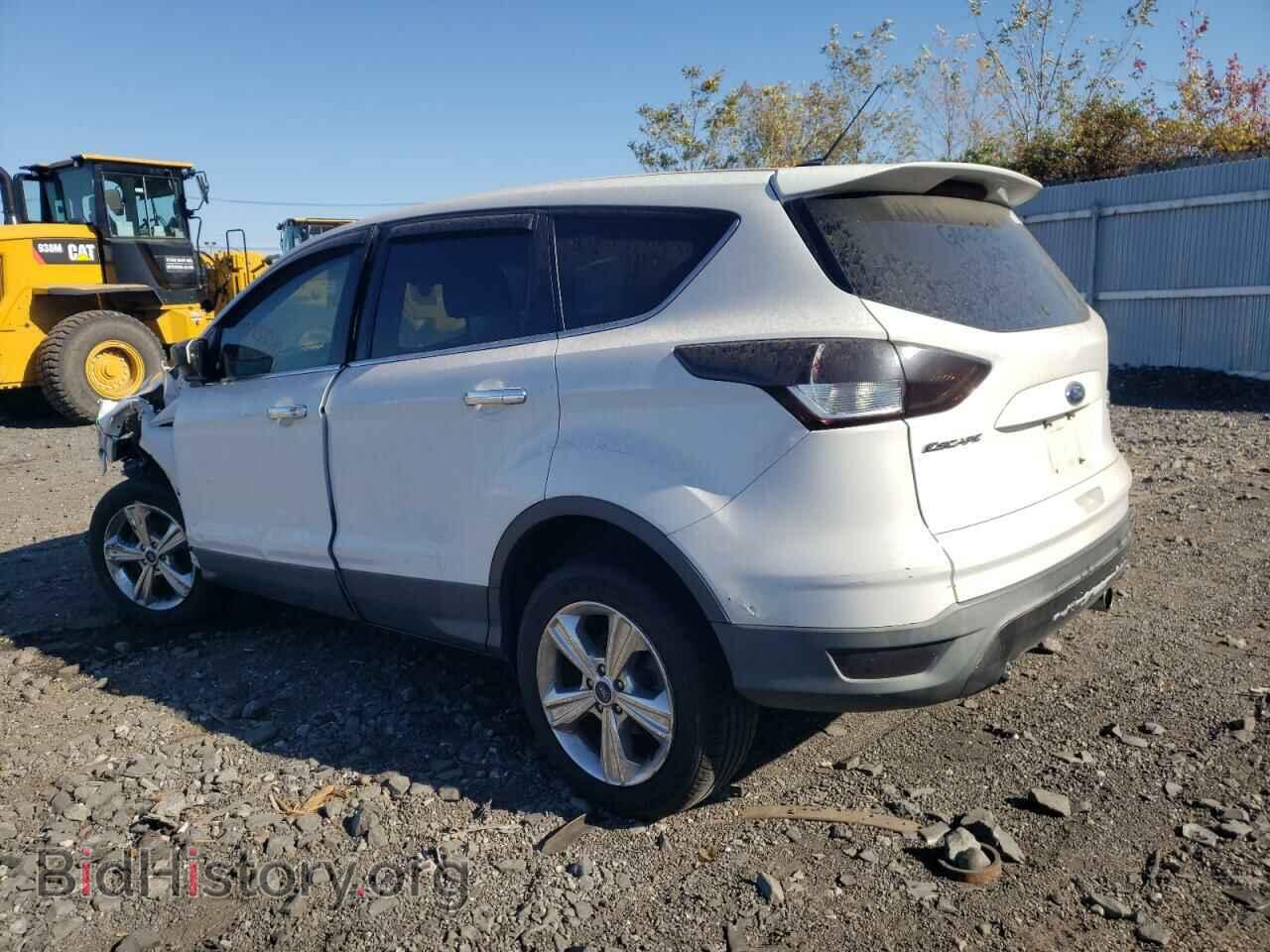 2013 FORD ESCAPE - VIN: 1FMCU0GX4DUC48041 - Фото 2