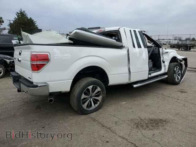 2013 FORD F-150 - VIN: 1FTFX1EF6DFD54567 - Фото 3