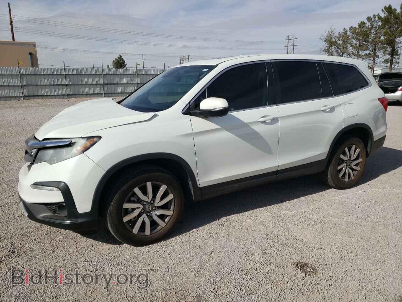 Photo 5FNYF6H56MB035203 - HONDA PILOT 2021