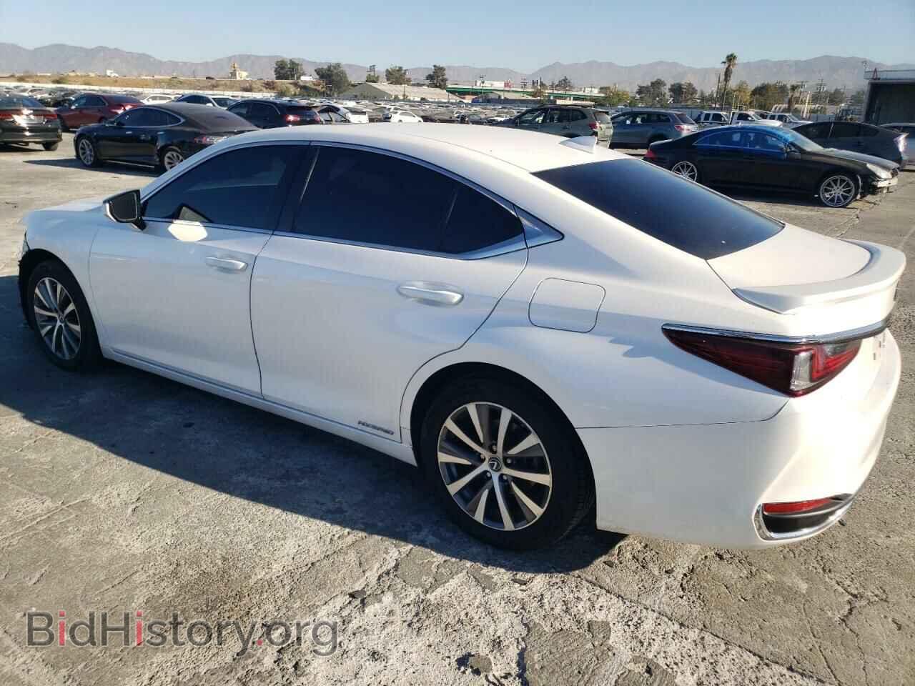 2021 LEXUS ES300 - VIN: 58ACA1C18MU005048 - Фото 2
