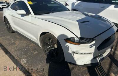 2019 Ford ALL MODELS, white — VIN 1FA6P8TH3K5123132, Copart
