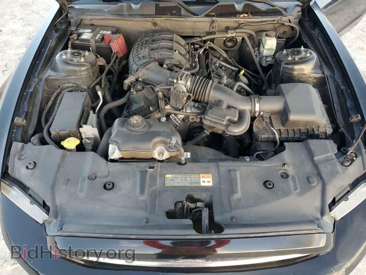 2014 FORD ALL Models - VIN: 1ZVBP8AMXE5303539 - Photo 11