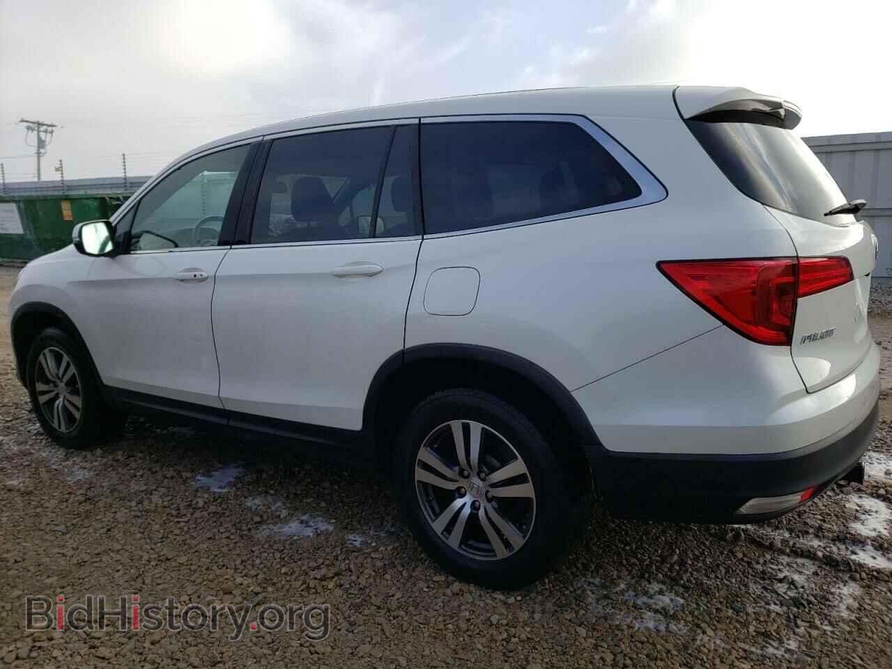 2017 HONDA PILOT - VIN: 5FNYF6H51HB010747 - Фото 2