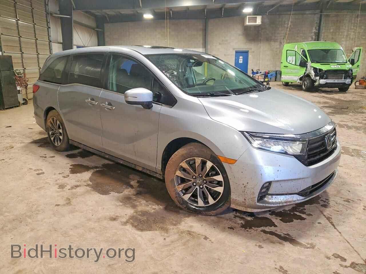 2024 HONDA All Models - VIN: 5FNRL6H68RB047382 - Фото 4