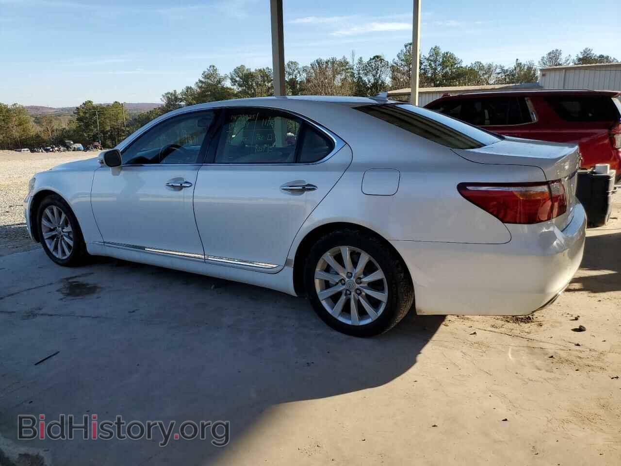2011 LEXUS LS460 - VIN: JTHCL5EF9B5012019 - Photo 2