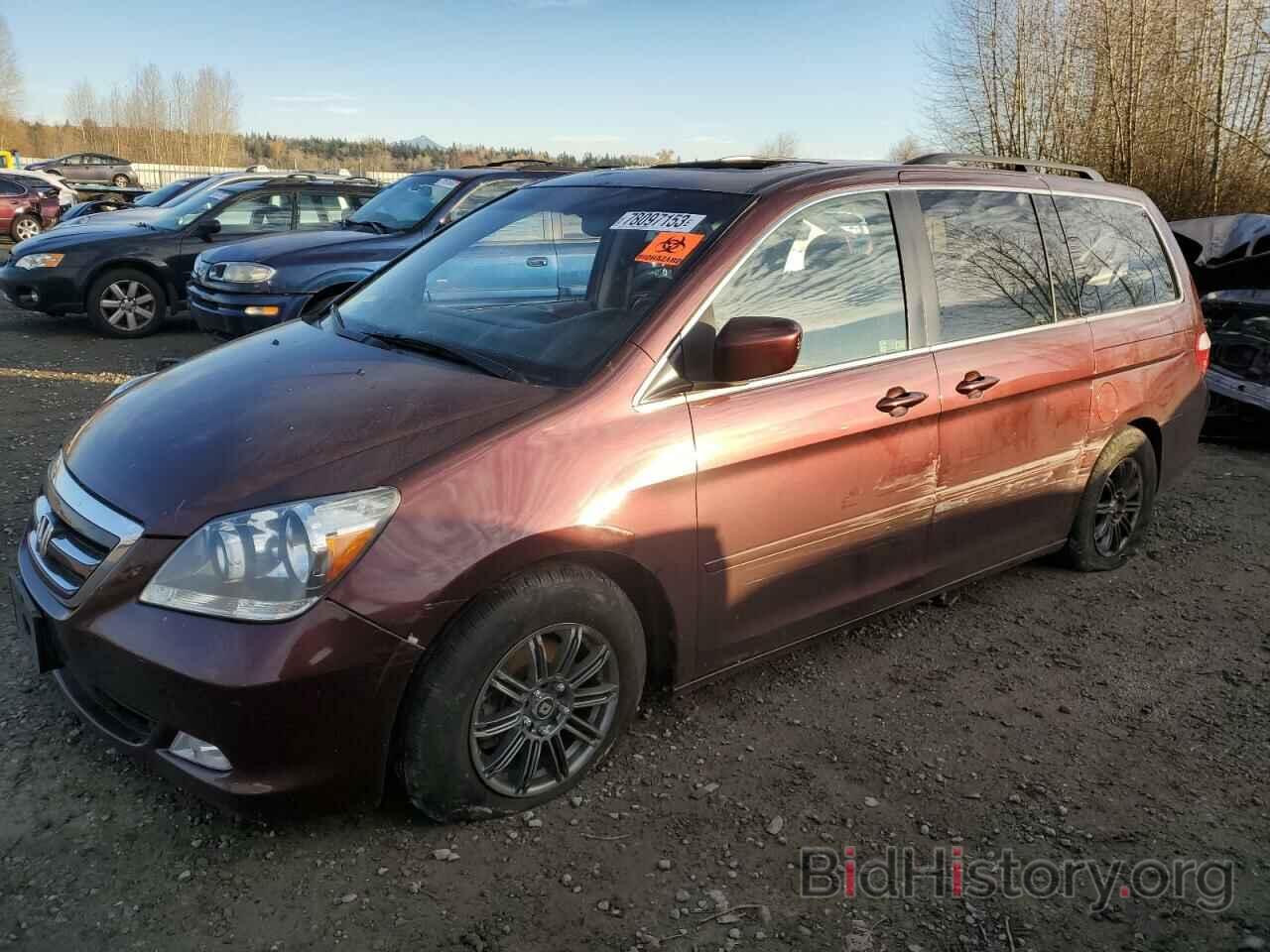 Фотография 5FNRL38897B113533 - HONDA ODYSSEY 2007