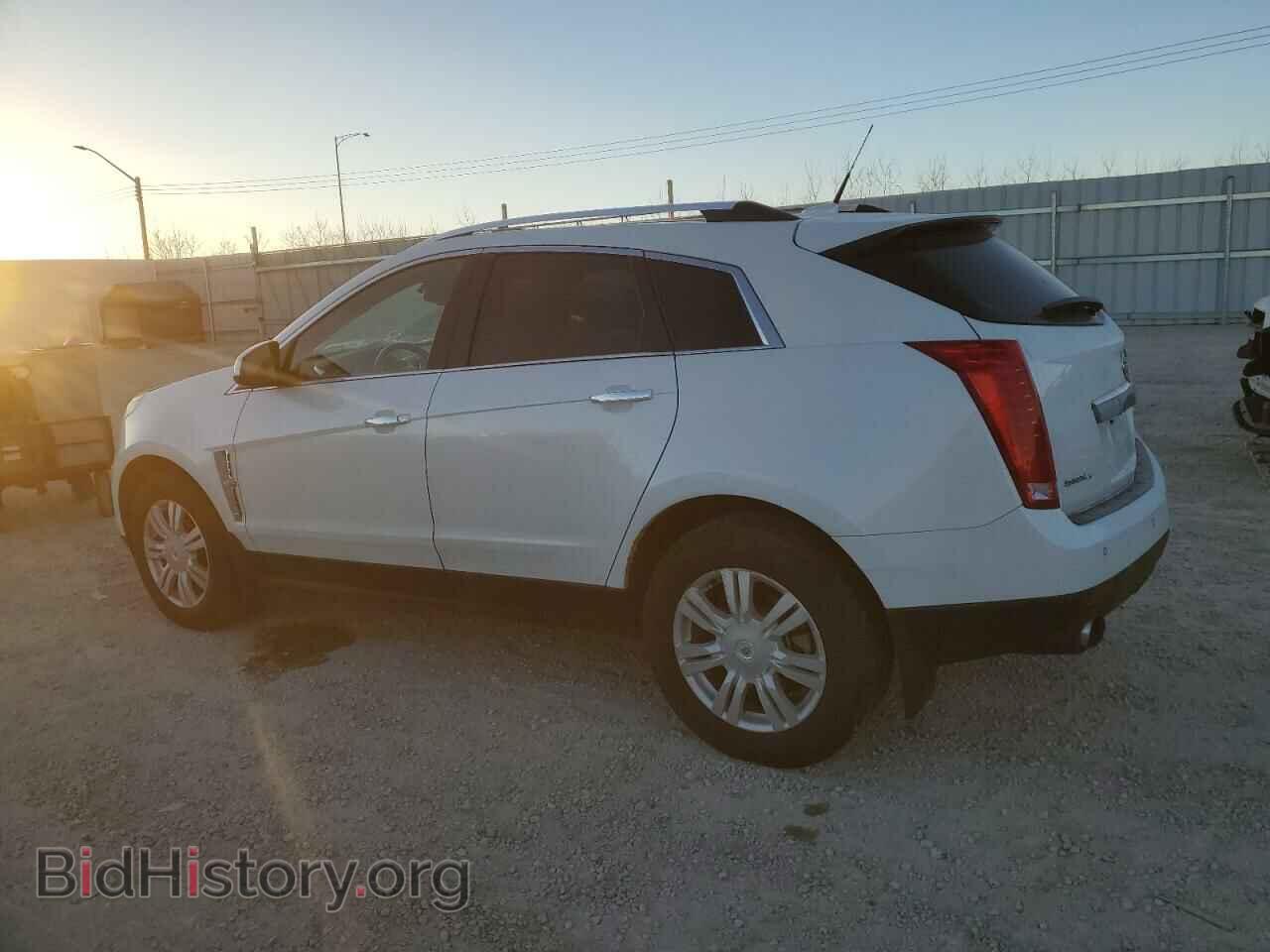 2010 CADILLAC SRX - VIN: 3GYFNDEY8AS614459 - Фото 2