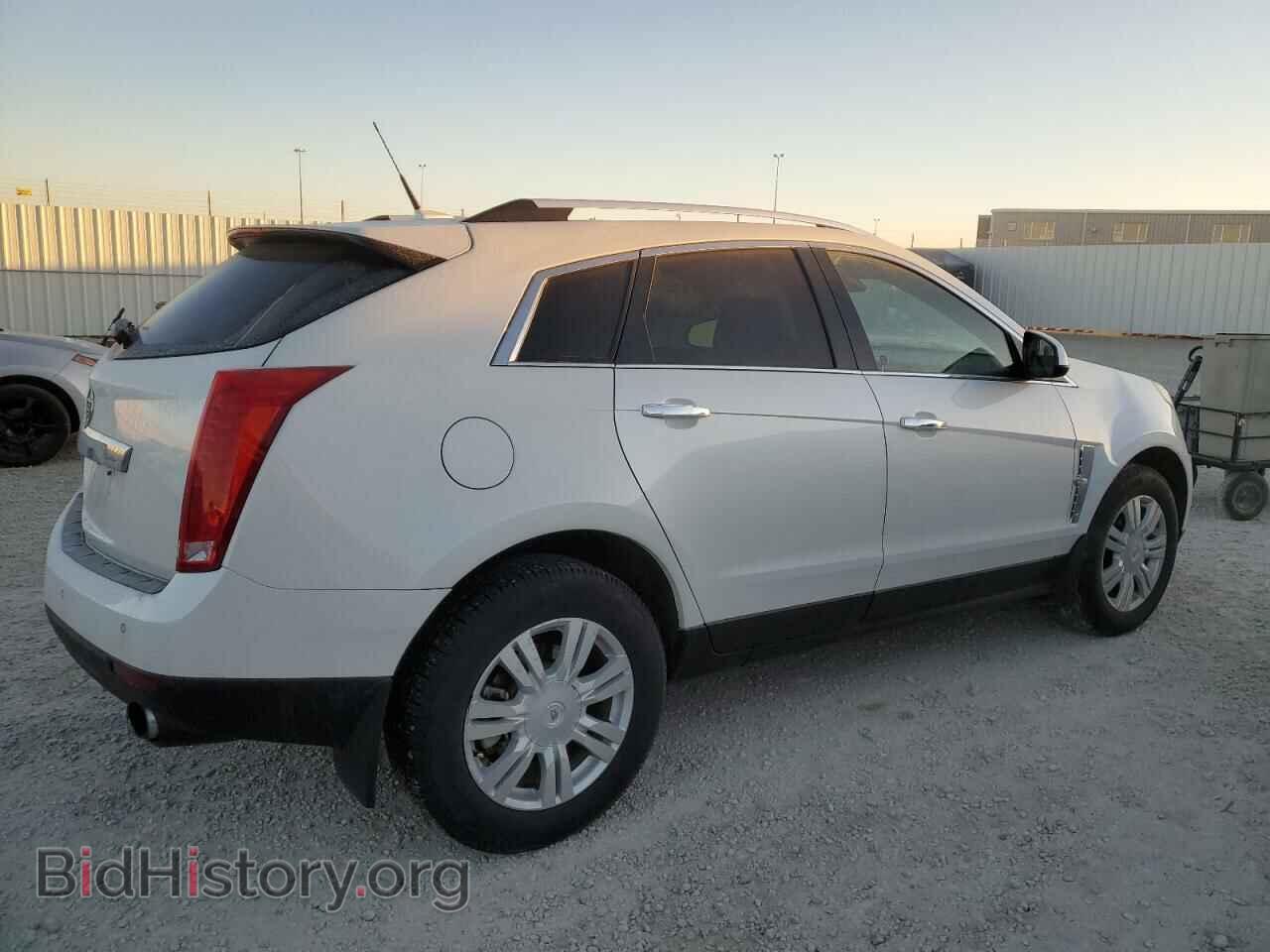2010 CADILLAC SRX - VIN: 3GYFNDEY8AS614459 - Фото 3