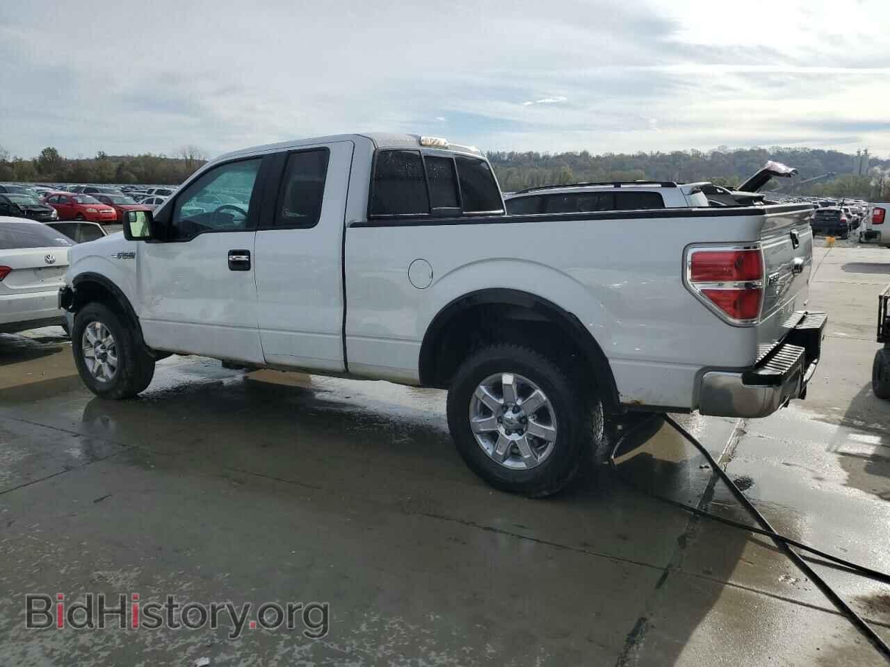 2013 FORD F-150 - VIN: 1FTFX1EF6DFA65950 - Фото 2