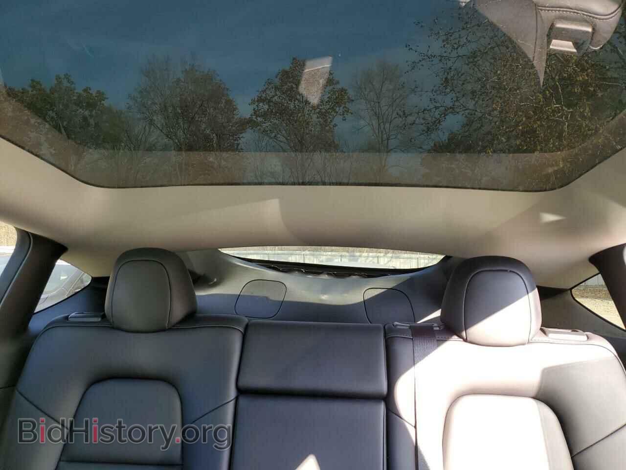 2024 TESLA MODEL Y - VIN: 7SAYGAEE5RF061273 - Фото 10