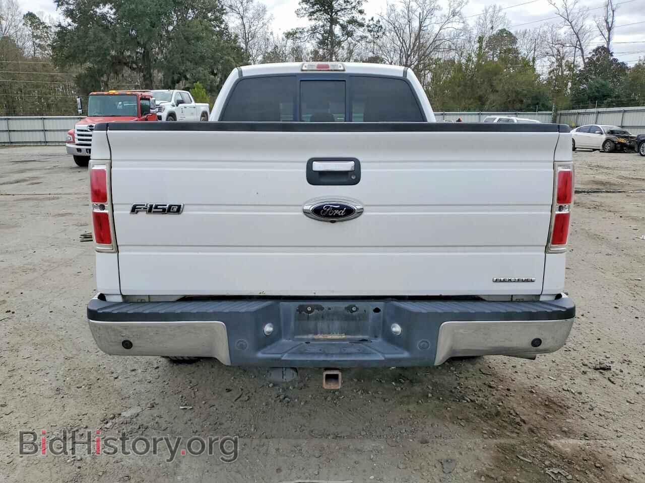 2013 FORD F150 - VIN: 1FTFX1CF0DFB08309 - Фото 6
