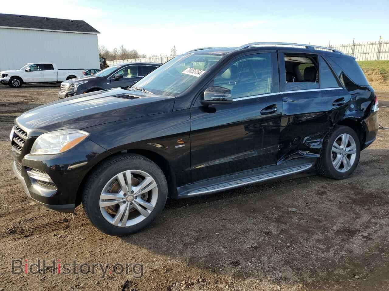 Photo 4JGDA5HB9CA045868 - MERCEDES-BENZ M-CLASS 2012