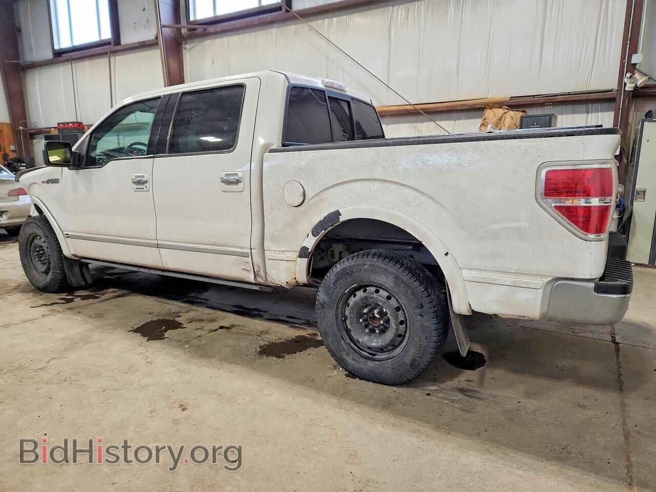 2010 FORD F-150 - VIN: 1FTFW1EV2AFA34331 - Фото 2