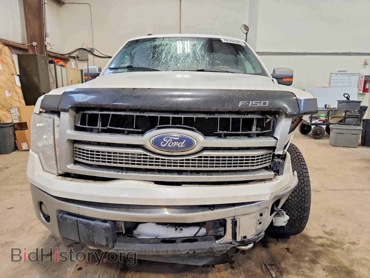 2010 FORD F-150 - VIN: 1FTFW1EV2AFA34331 - Фото 5