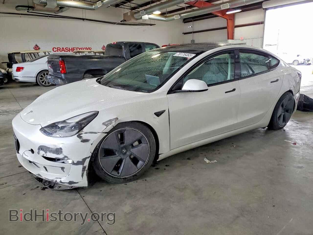 Photo 5YJ3E1EA0PF558545 - TESLA MODEL 3 2023