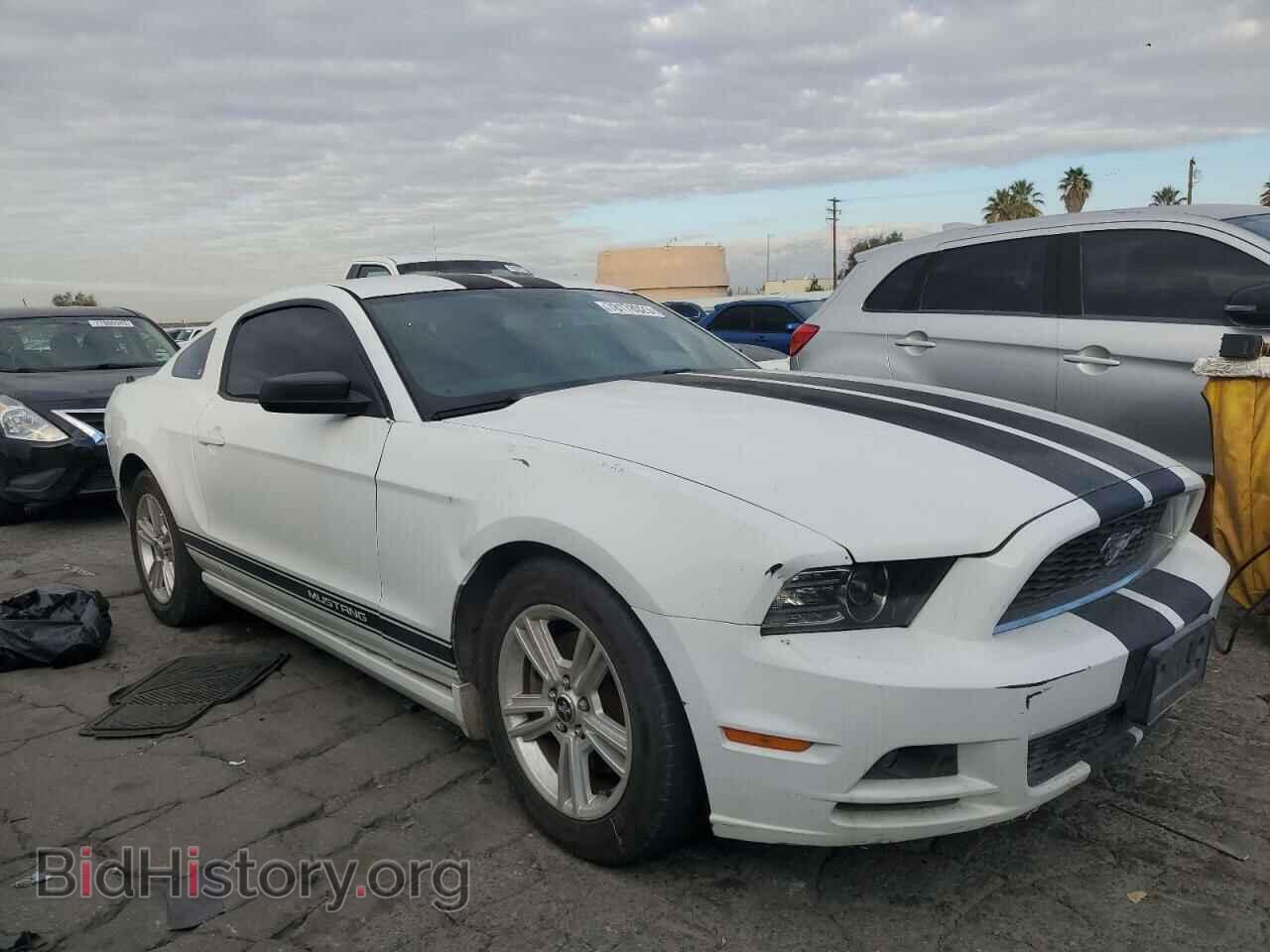 2014 FORD ALL Models - VIN: 1ZVBP8AM1E5210263 - Фото 4