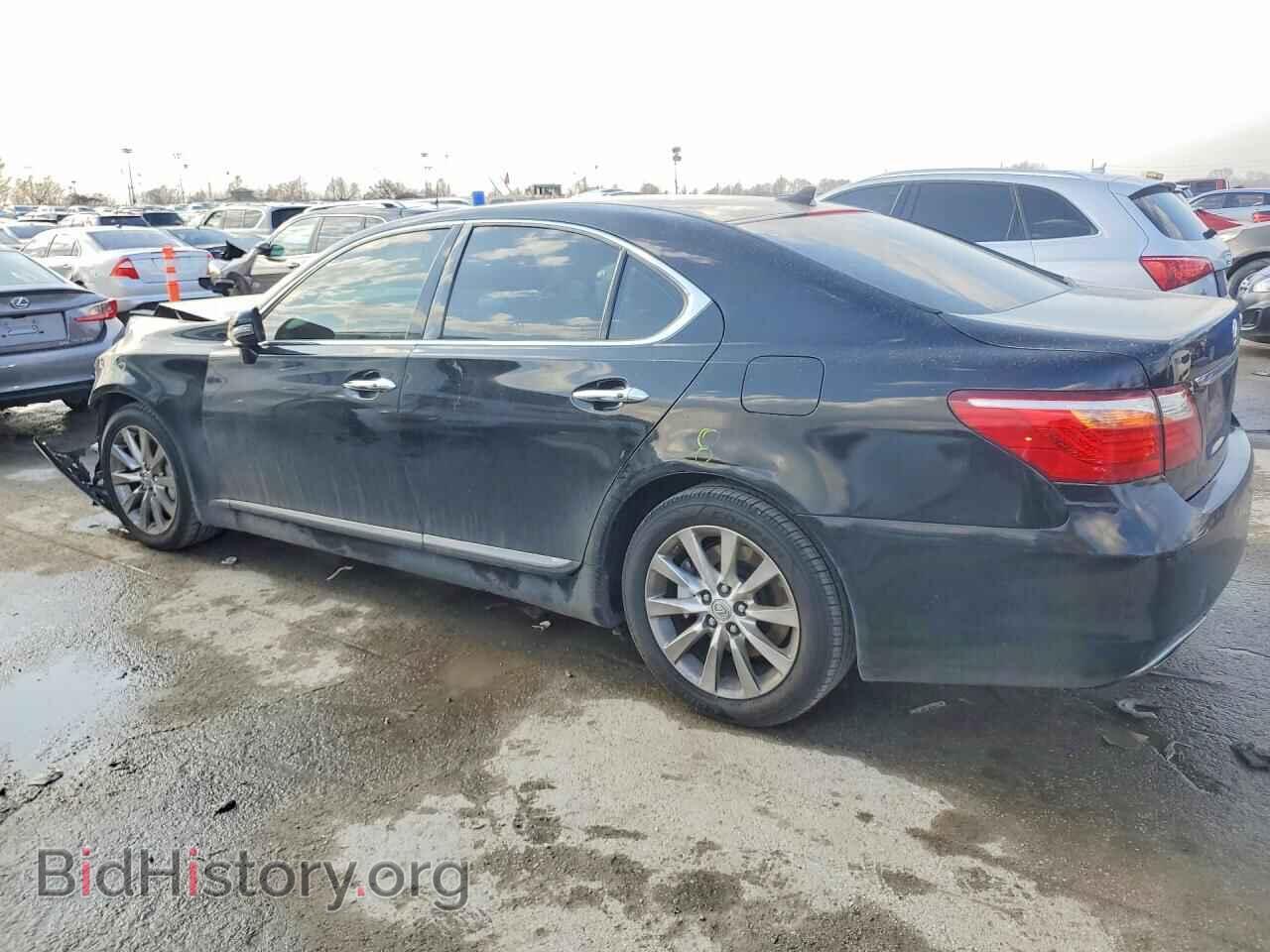 2011 LEXUS LS460 - VIN: JTHCL5EF8B5010066 - Photo 2