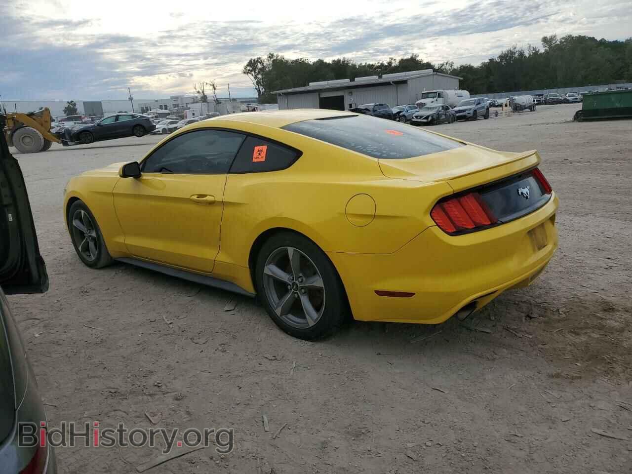 2017 FORD ALL Models - VIN: 1FA6P8TH8H5208699 - Photo 2