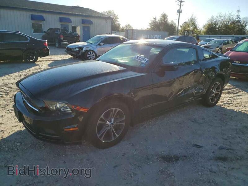 2014 Ford ALL MODELS Mustang (VIN 1ZVBP8AM1E5260290) — фото 1 из 12, Copart, повреждение: бок