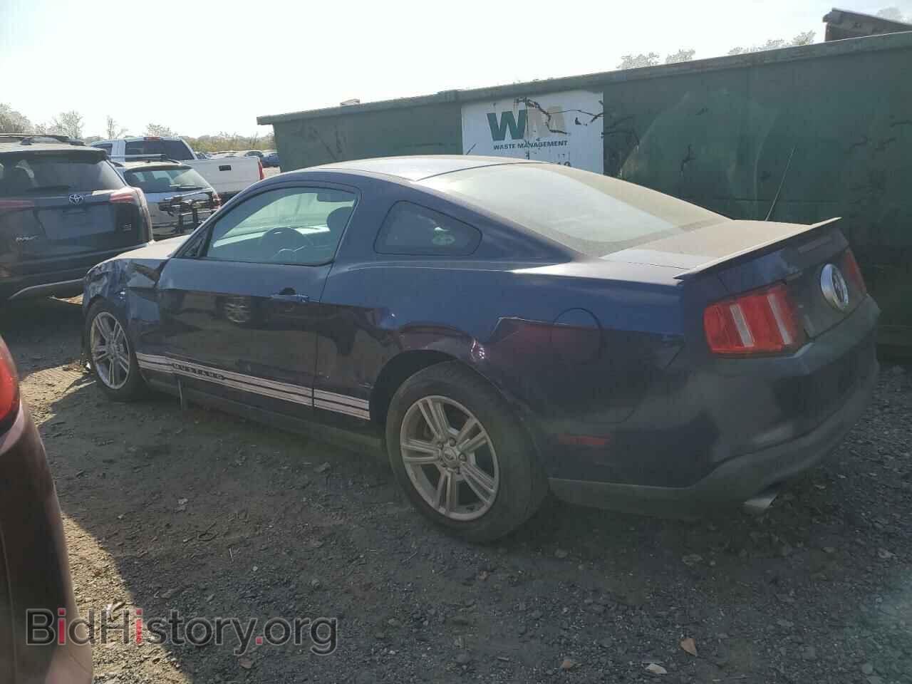 2011 FORD ALL Models - VIN: 1ZVBP8AM9B5162555 - Photo 2