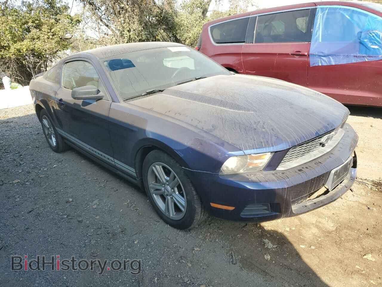2011 FORD ALL Models - VIN: 1ZVBP8AM9B5162555 - Photo 4