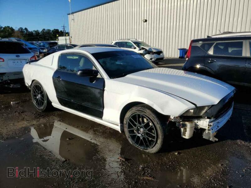 2014 Ford ALL MODELS (VIN 1ZVBP8AMXE5267433) — photo 4 of 13