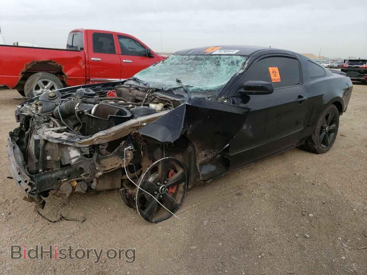 Фотография 1ZVBP8CF2D5209586 - FORD MUSTANG 2013