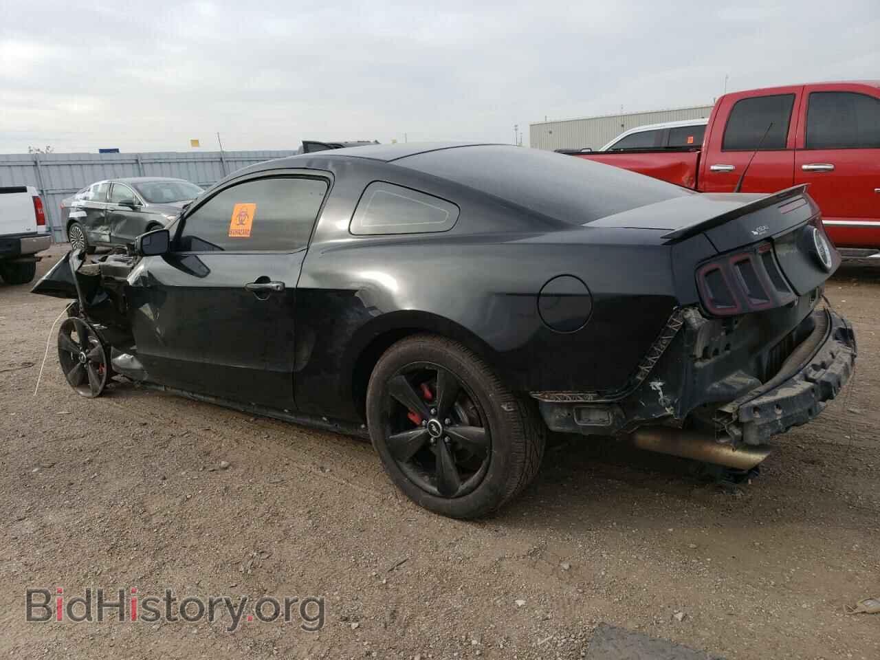 2013 FORD MUSTANG - VIN: 1ZVBP8CF2D5209586 - Фото 2
