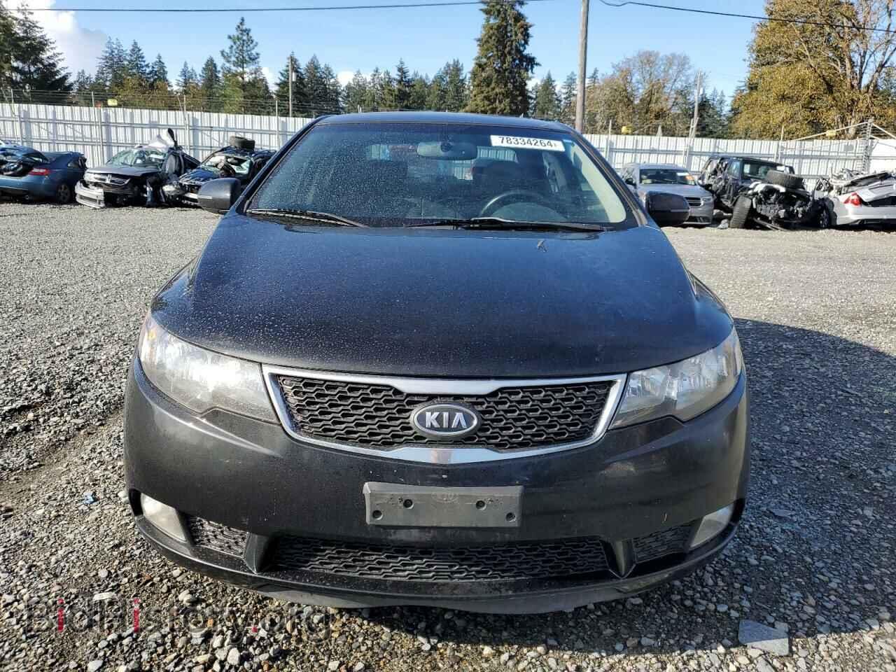 2012 KIA FORTE - VIN: KNAFW4A31C5524349 - Фото 5