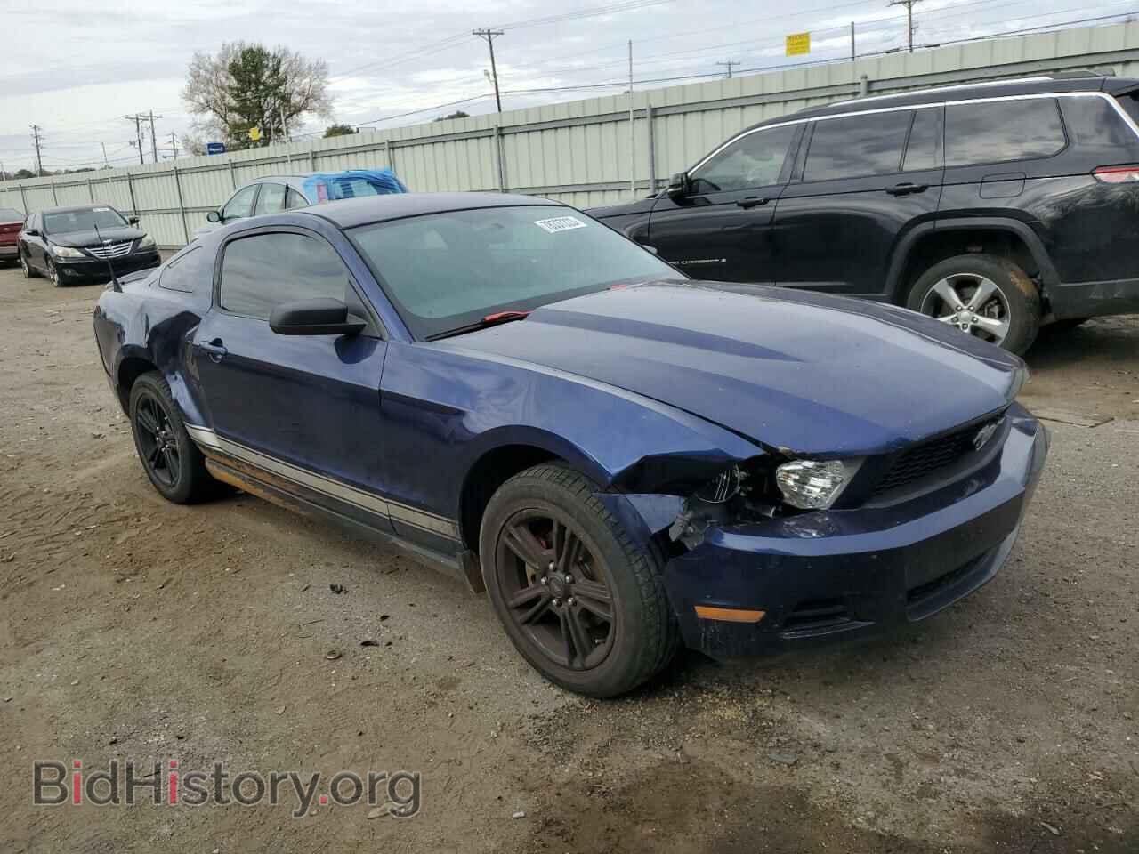 2010 FORD ALL Models - VIN: 1ZVBP8AN4A5121113 - Фото 4