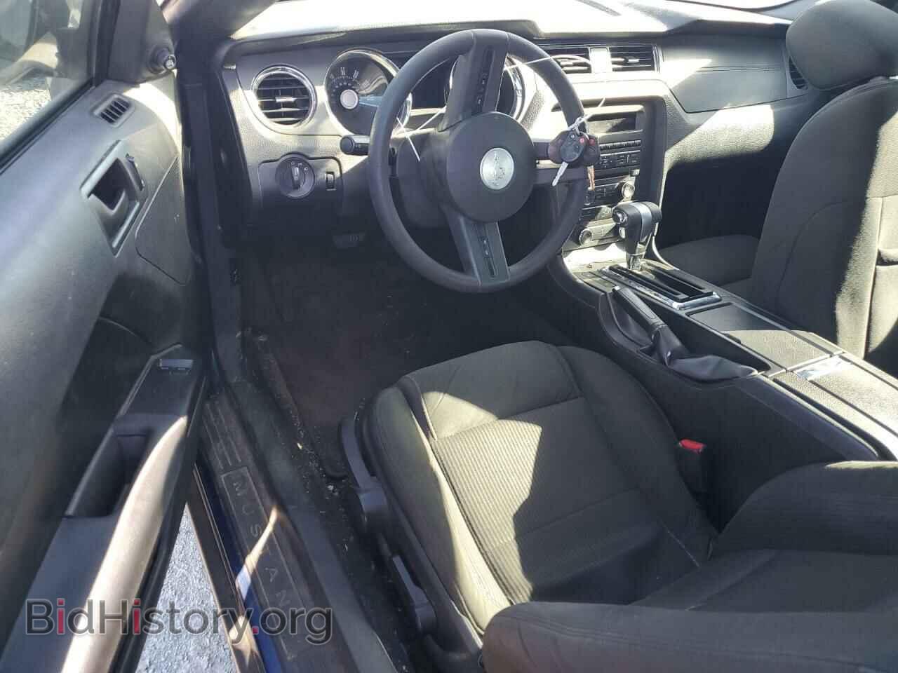 2010 FORD ALL Models - VIN: 1ZVBP8AN4A5121113 - Фото 8