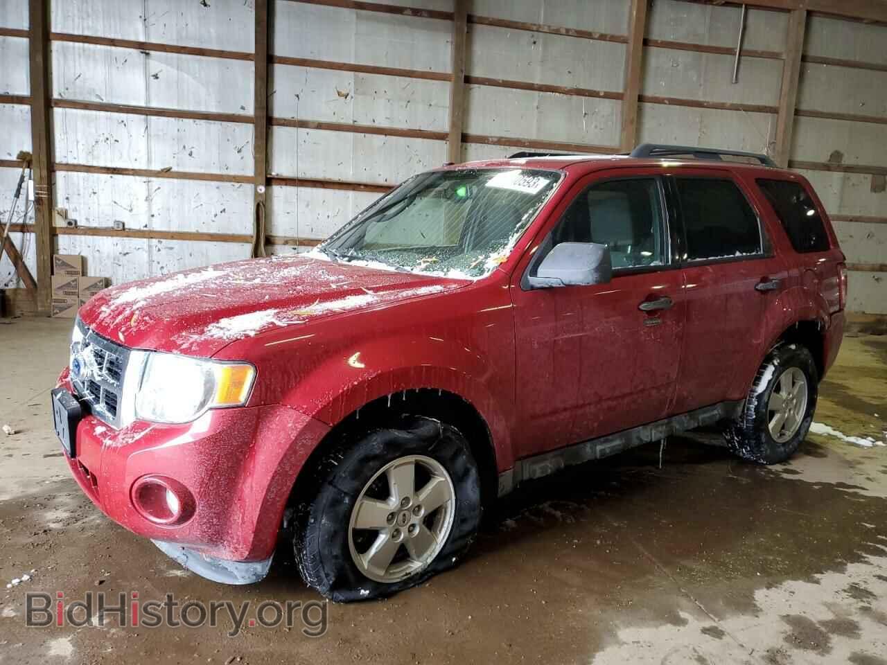 Фотография 1FMCU0DG2AKC25028 - FORD ESCAPE 2010