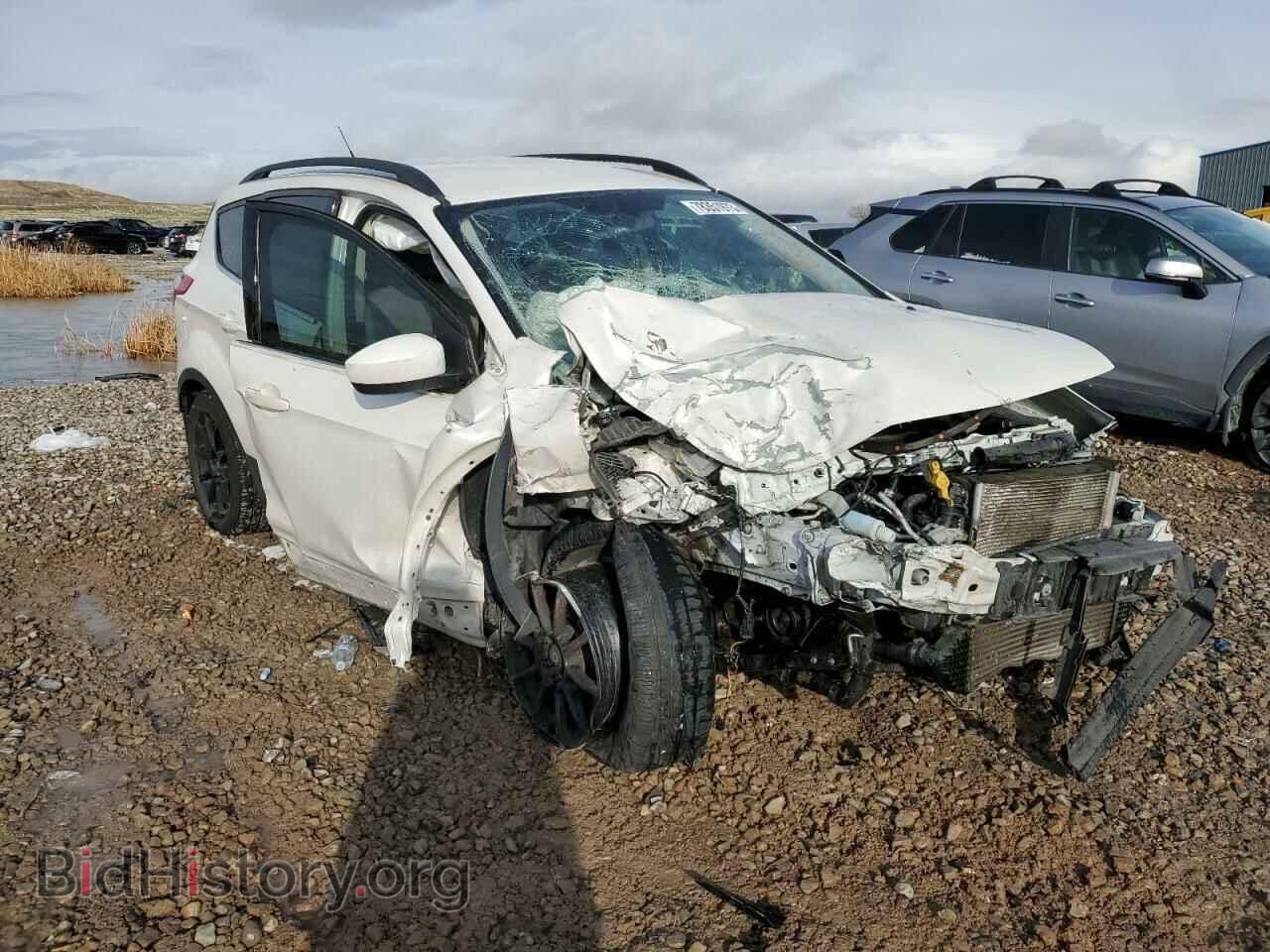 2014 FORD ESCAPE - VIN: 1FMCU0GX4EUD00575 - Фото 4