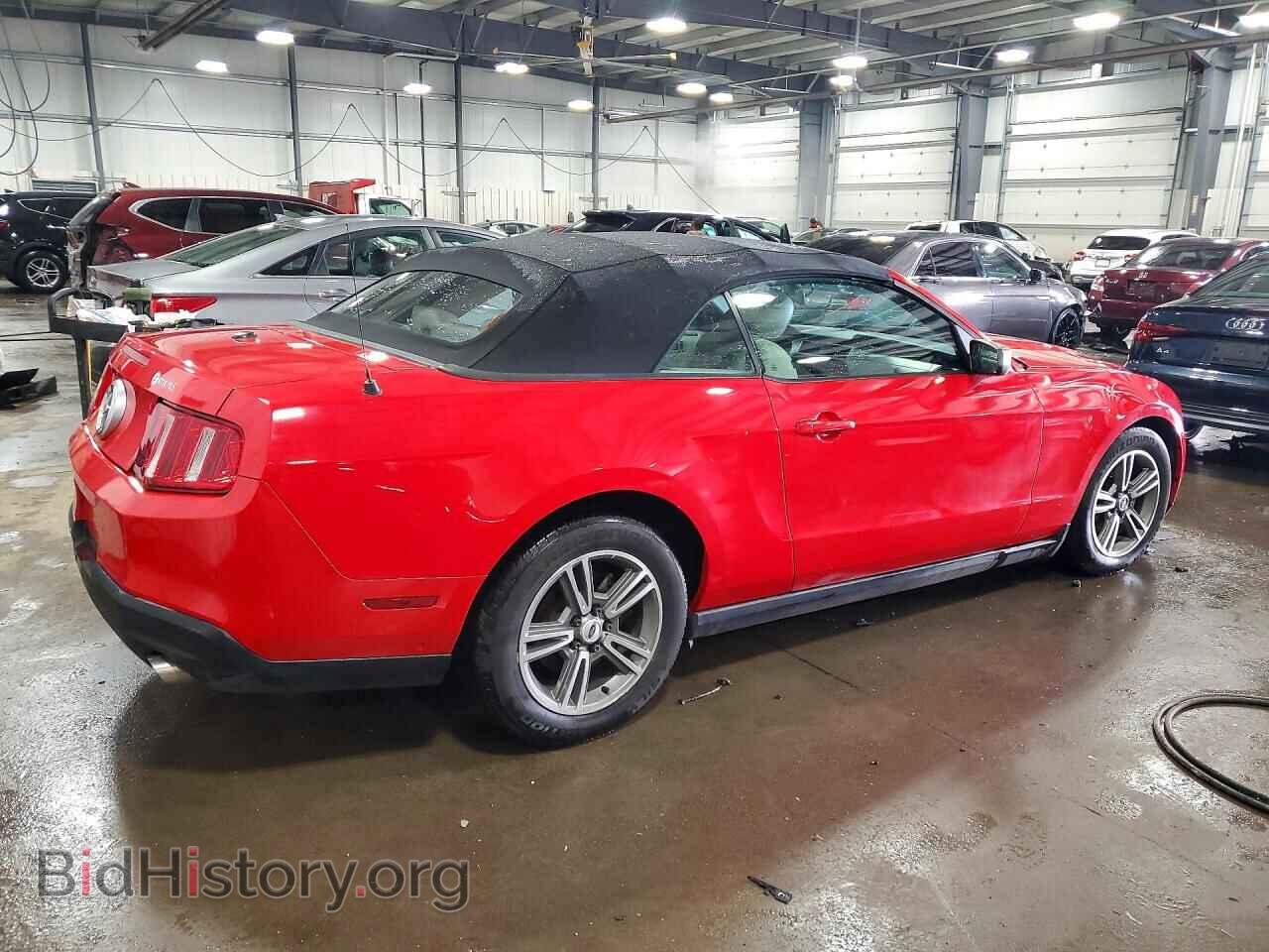 2010 FORD MUSTANG - VIN: 1ZVBP8EN4A5133885 - Фото 3