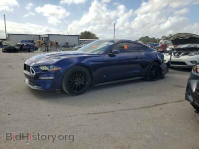 2019 Ford ALL MODELS, blue — VIN 1FA6P8THXK5111673, Copart