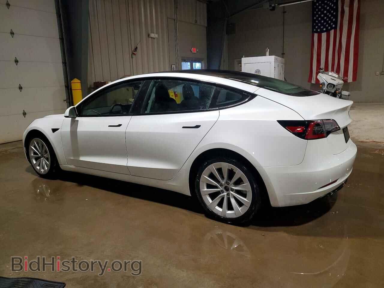 2023 TESLA MODEL 3 - VIN: 5YJ3E1EA0PF436414 - Фото 2