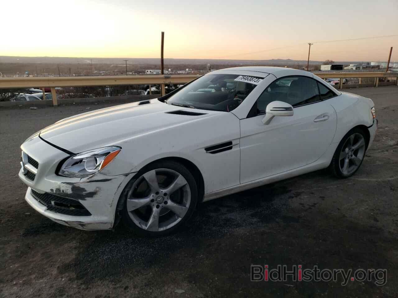 Photo WDDPK5HA0DF061957 - MERCEDES-BENZ SLK-CLASS 2013