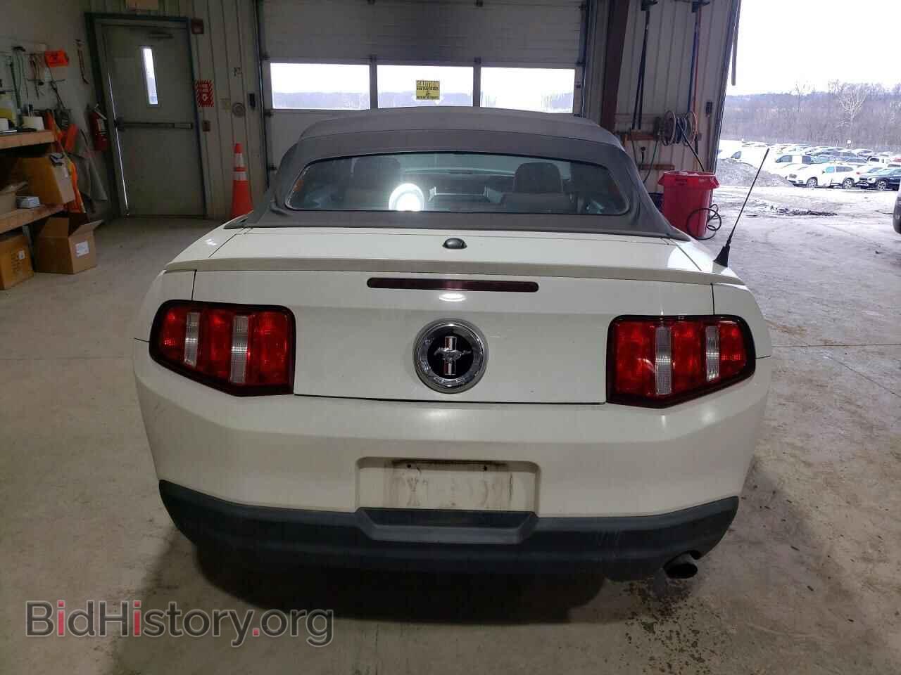 2010 FORD ALL Models - VIN: 1ZVBP8EN4A5110798 - Фото 6