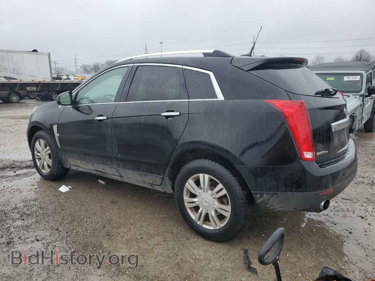 2010 CADILLAC SRX - VIN: 3GYFNDEY5AS638024 - Фото 2