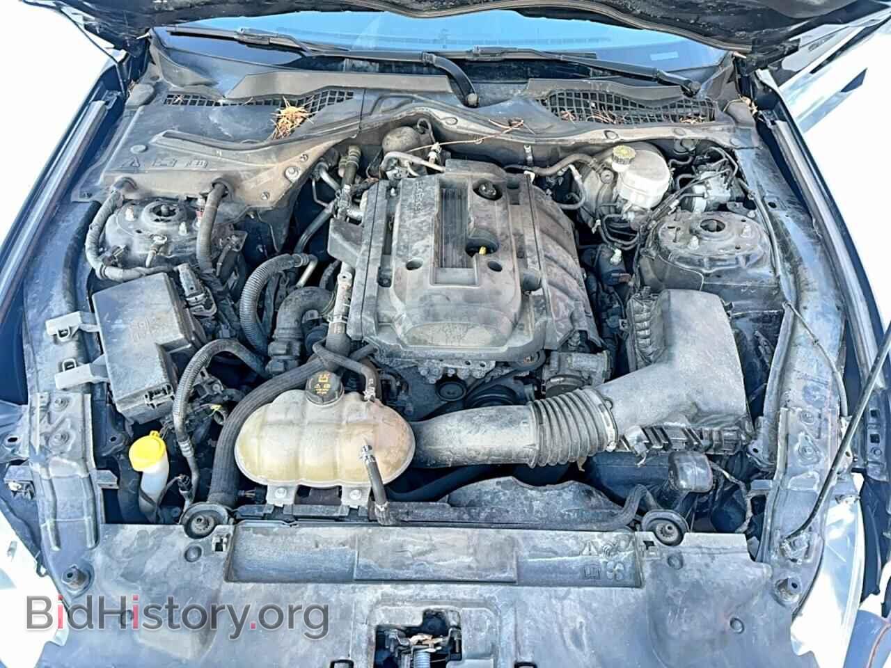 2019 FORD ALL Models - VIN: 1FA6P8TH2K5162598 - Photo 7