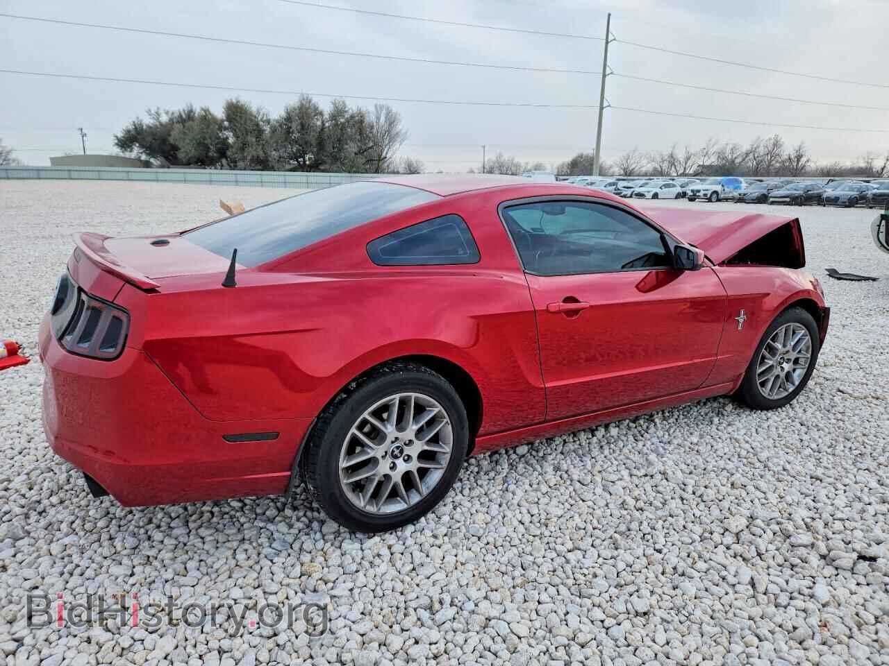 2013 FORD MUSTANG - VIN: 1ZVBP8AM2D5218709 - Фото 3