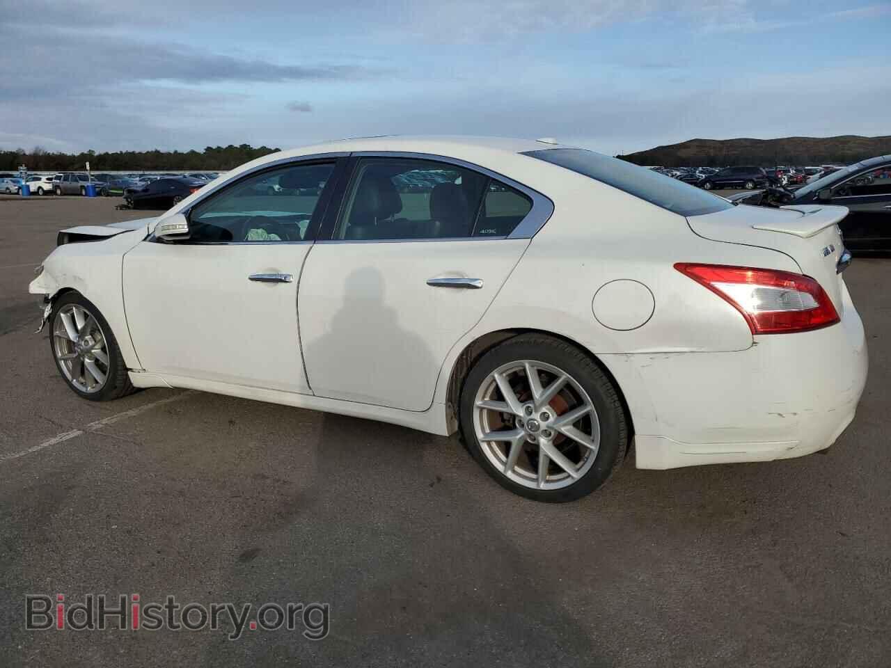 2011 NISSAN MAXIMA - VIN: 1N4AA5AP1BC805541 - Фото 2