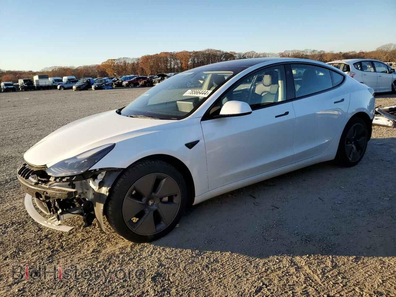 Фотография 5YJ3E1EA0PF489601 - TESLA MODEL 3 2023