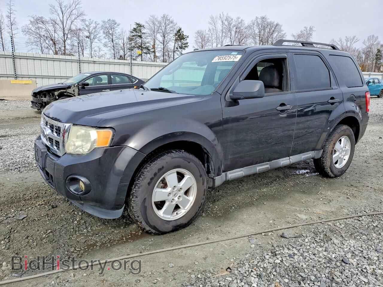 Photo 1FMCU0DG2BKB09541 - FORD ESCAPE 2011