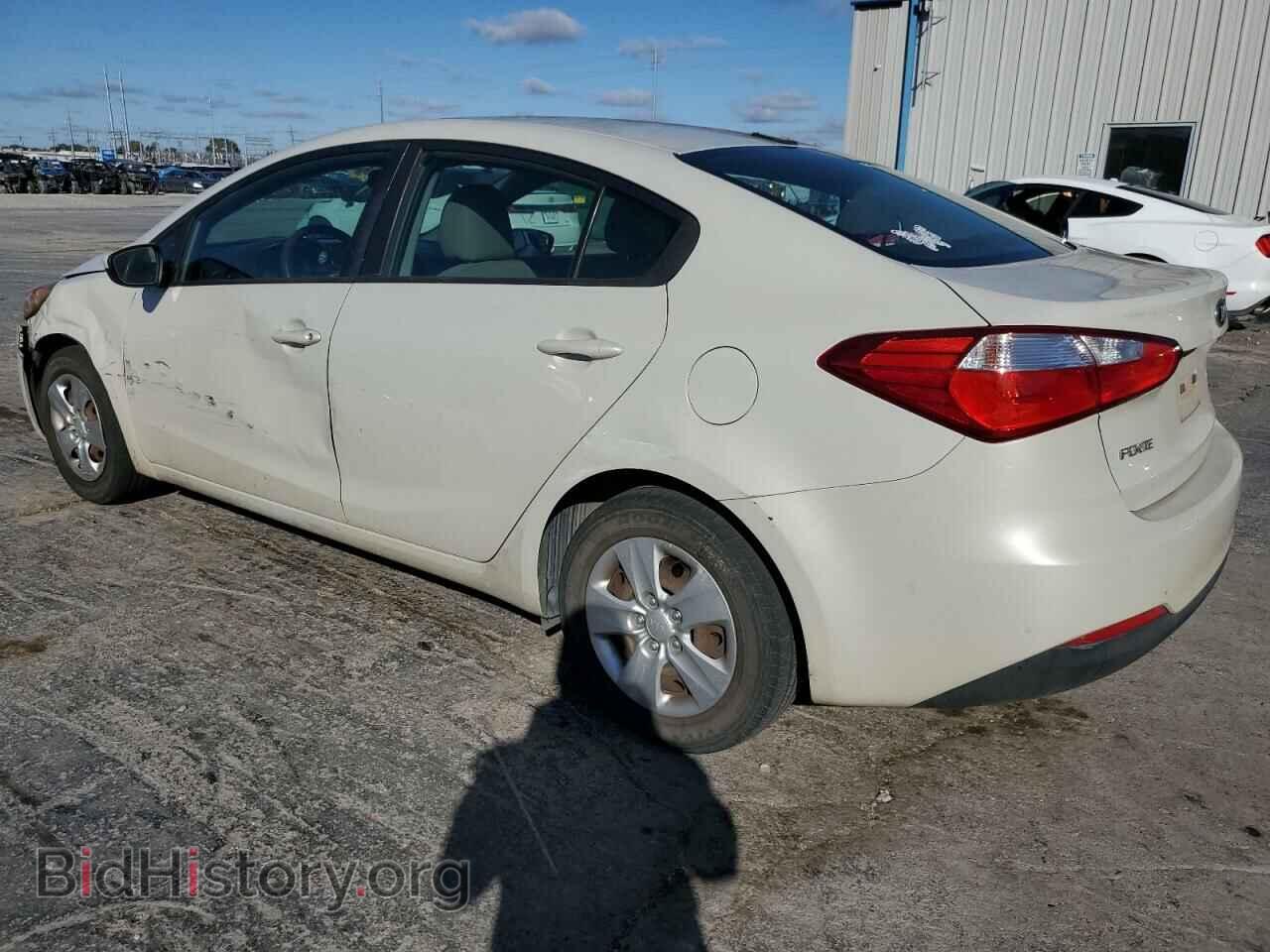 2014 KIA FORTE - VIN: KNAFK4A68E5243819 - Фото 2