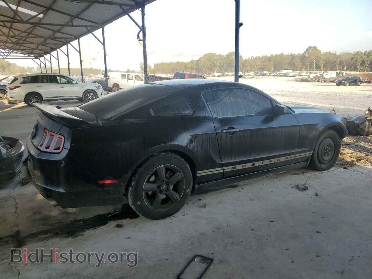 2014 FORD ALL Models - VIN: 1ZVBP8AM1E5216368 - Фото 3