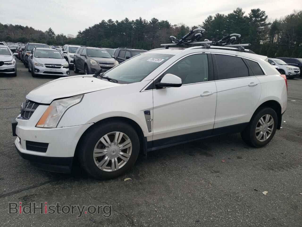 Фотография 3GYFNAE38CS548680 - CADILLAC SRX 2012
