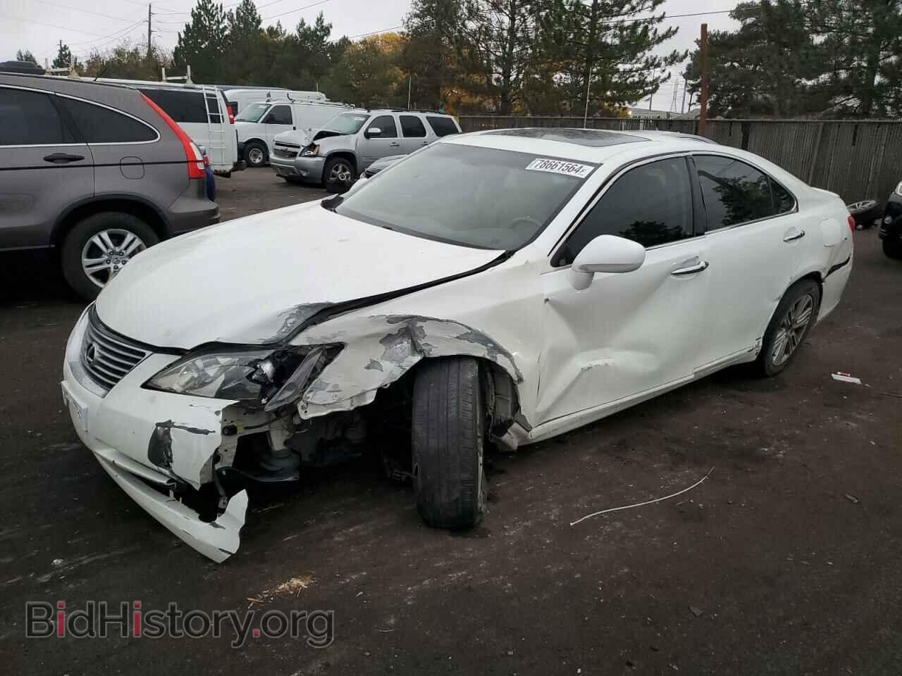 Фотография JTHBJ46G492303090 - LEXUS ES350 2009
