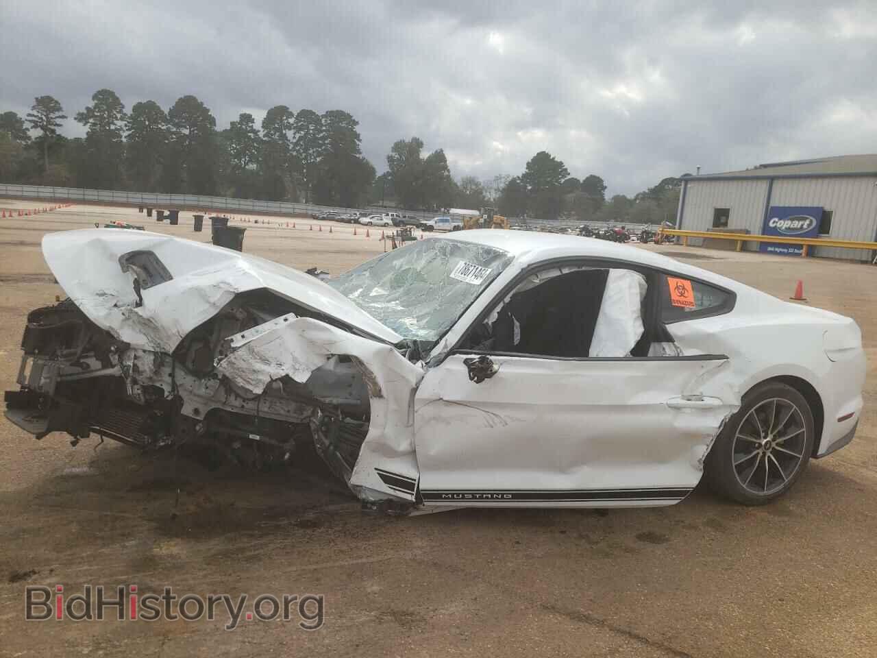 Photo 1FA6P8TH5J5176266 - FORD ALL Models 2018