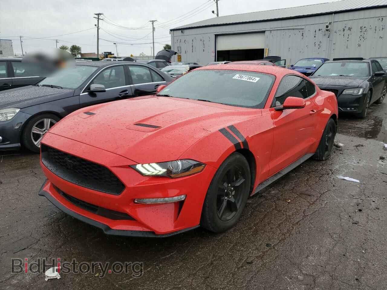 Фотография 1FA6P8TH6K5142340 - FORD ALL Models 2019
